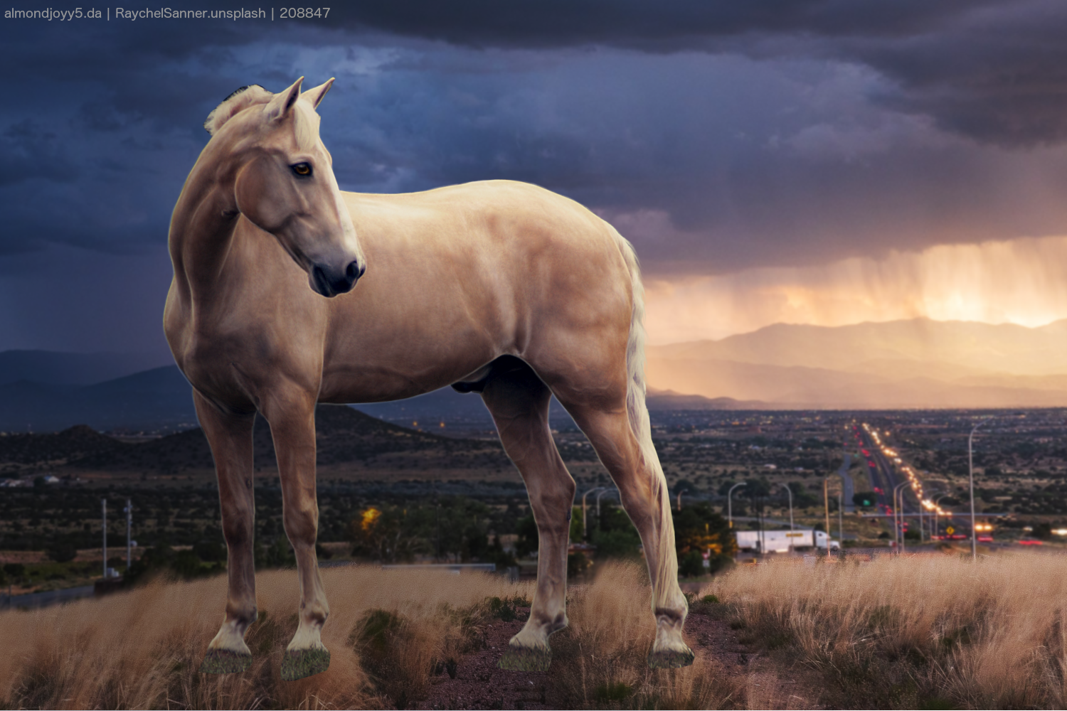 horse-eden-brindle