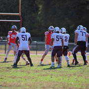 IMG-0599