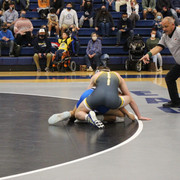 IMG-0398