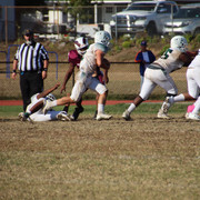 IMG-5446