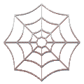 spider-web