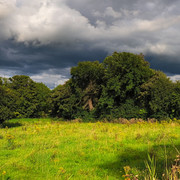 DSCF2297