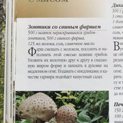 Parasol-2