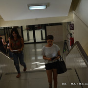 DSC-0519