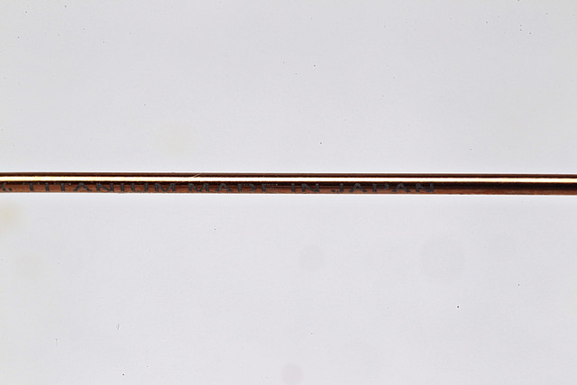 batch-DEEN8440