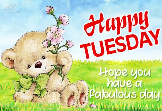 tuesday