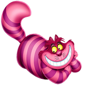gato