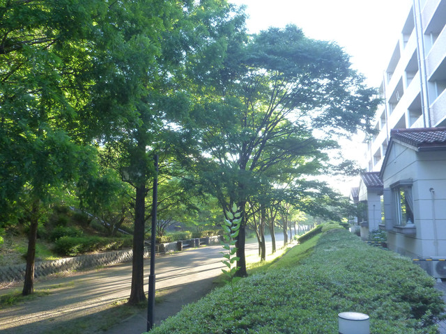 P1320068