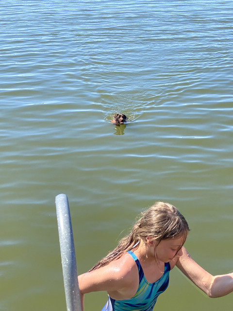 CFC5367-C-4-AA9-4-D42-96-AF-139-C7-E7466