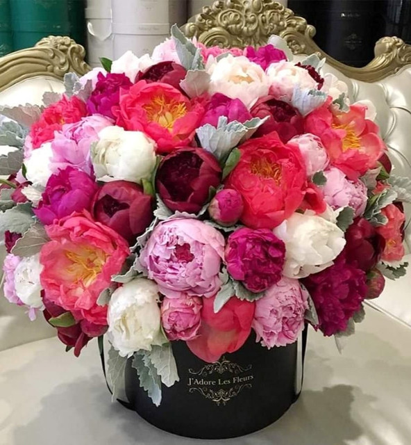 Чайная беседка