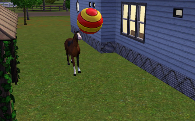 Screenshot-258
