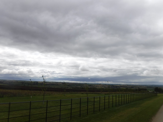 DSCF7627.jpg