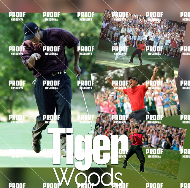 Tiger.png