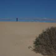 DSCF8529