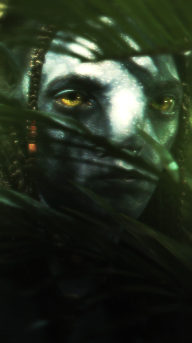 lo-ak2.png
