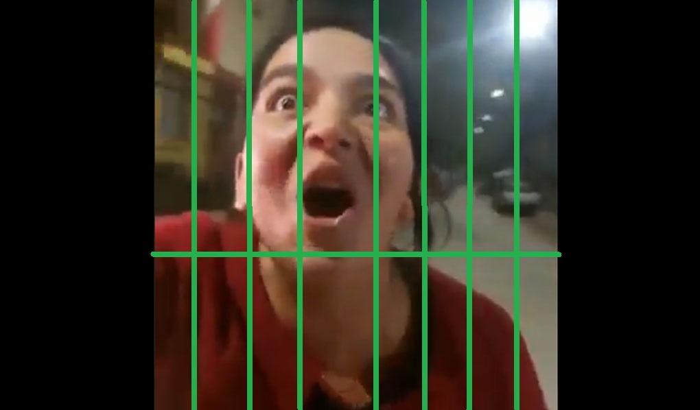 fiel.jpg