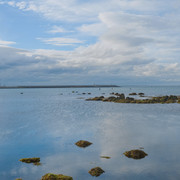 DSCF6981