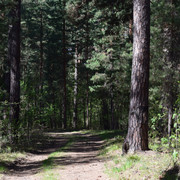 DSC 0968