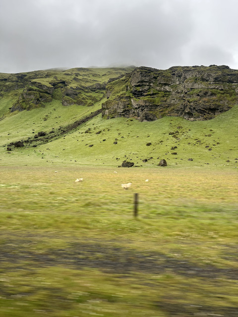 IMG-6219