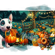 Mellow Midnight Pumpkin Patch2