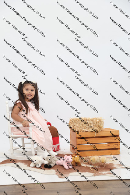 IMG 0951