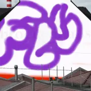 Graffiti artwork by flush