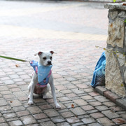 IMG-1923