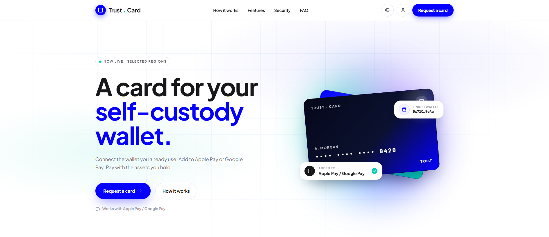 Forensic screenshot of [REDACTED] showing the phishing page layout