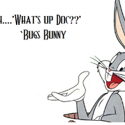 bugs