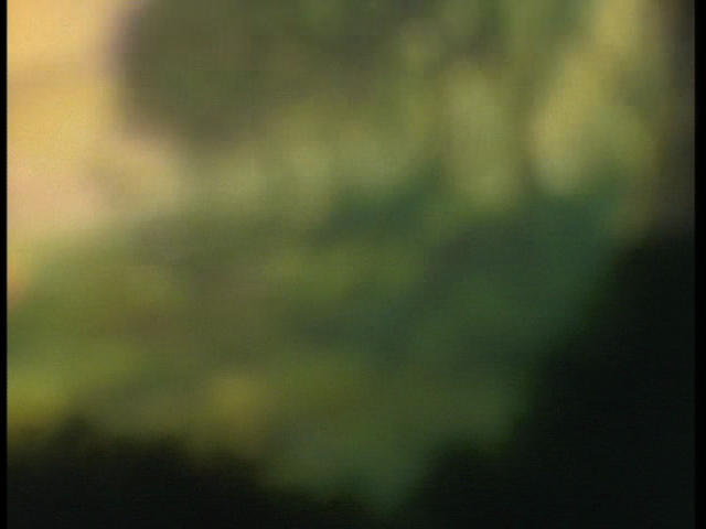 ab4c292904e8.png