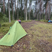 IMG 4487