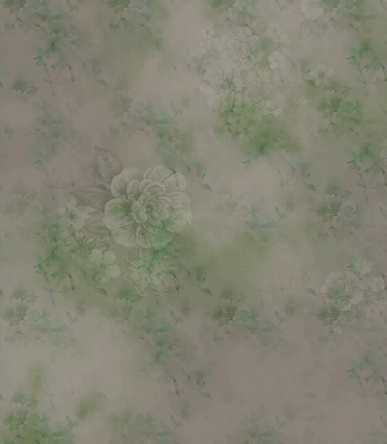 11.gif