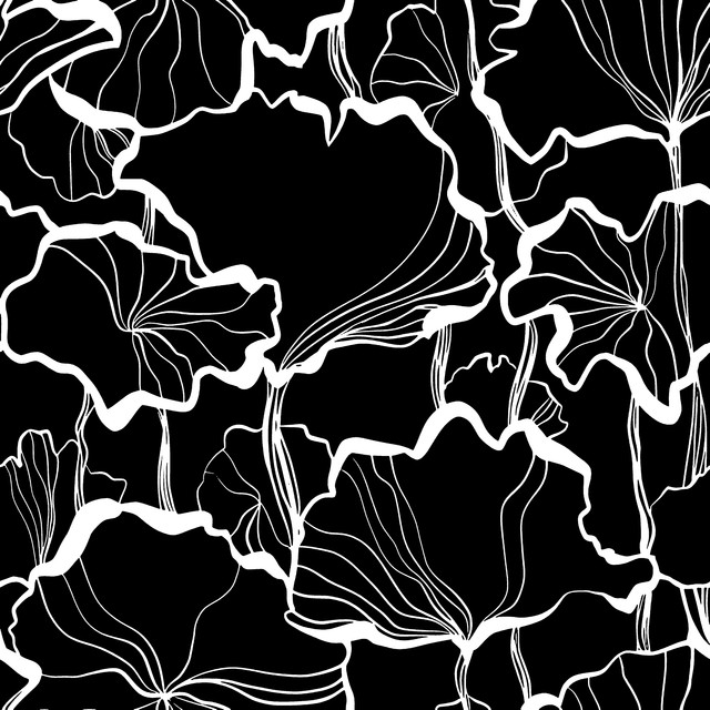 8cbd6e517cb3203a4ea465c8f7f1d1db.jpg