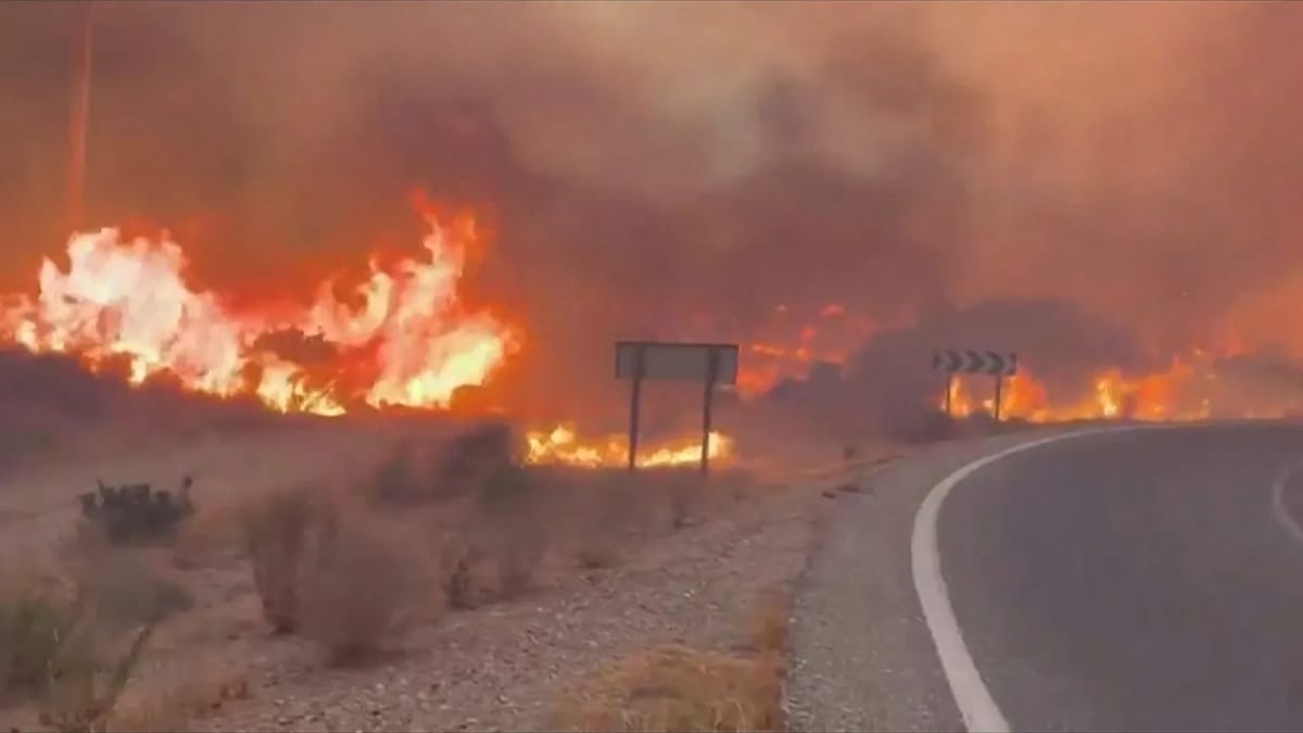Southern Spain Wildfire Disaster: Death Toll Rises to 11, 19 Still Unaccounted For