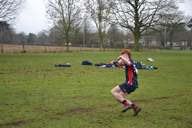 DSC 1508.jpg