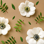 shutterstock 647146108