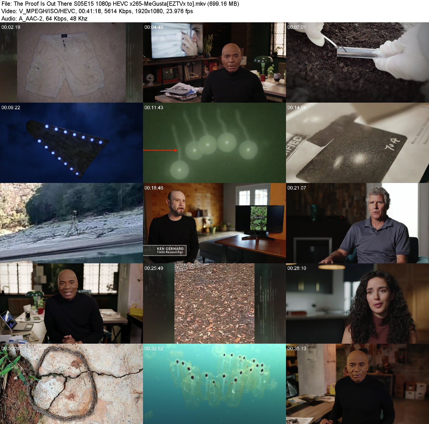 [Image: 16k0ihgrbx2u.jpg]