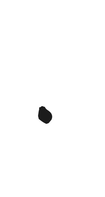 bottomcxr.png