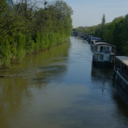 DSCF8990
