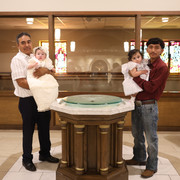 IMG 7217