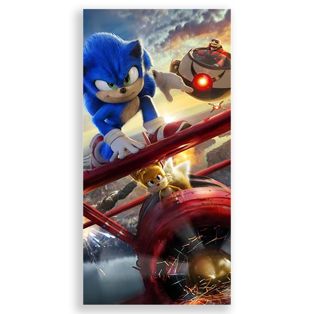 31001576-Sonic