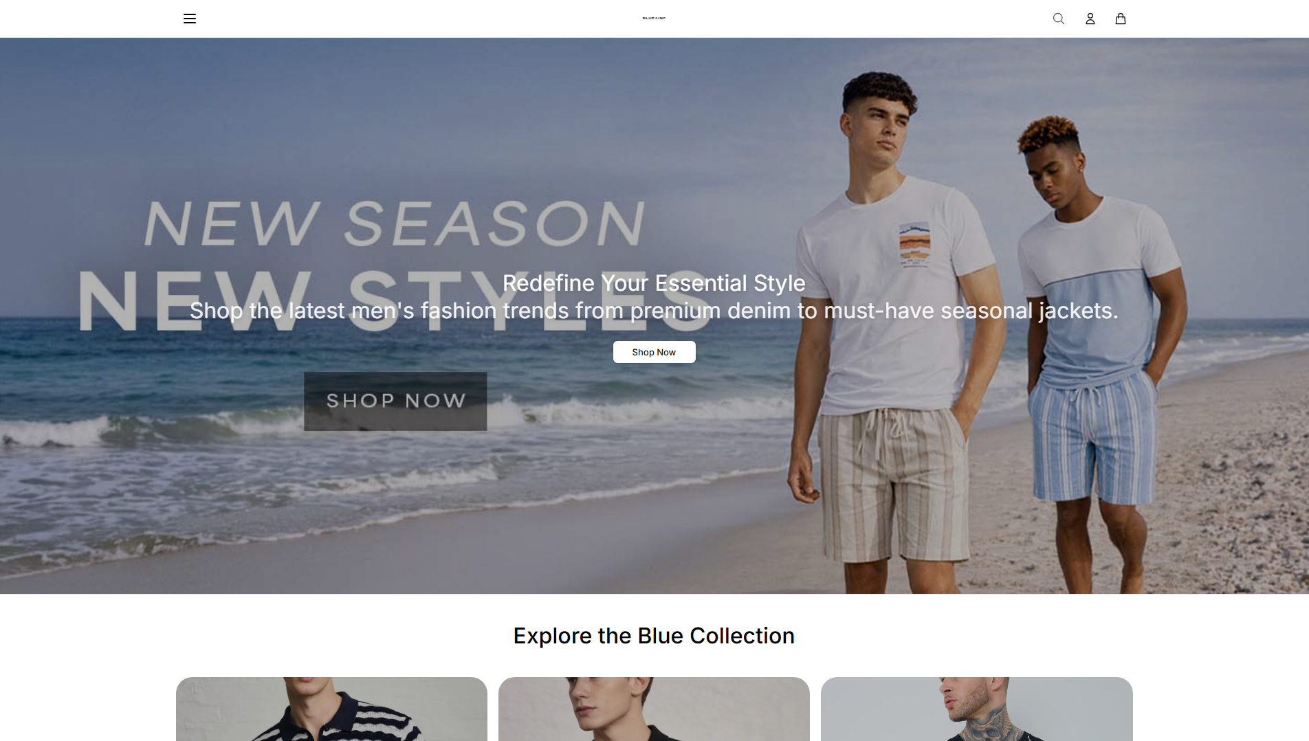 Primary capture · blueincstore.shop