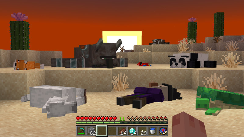 Image 4