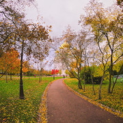 OLYMPUS-DIGITAL-CAMERA