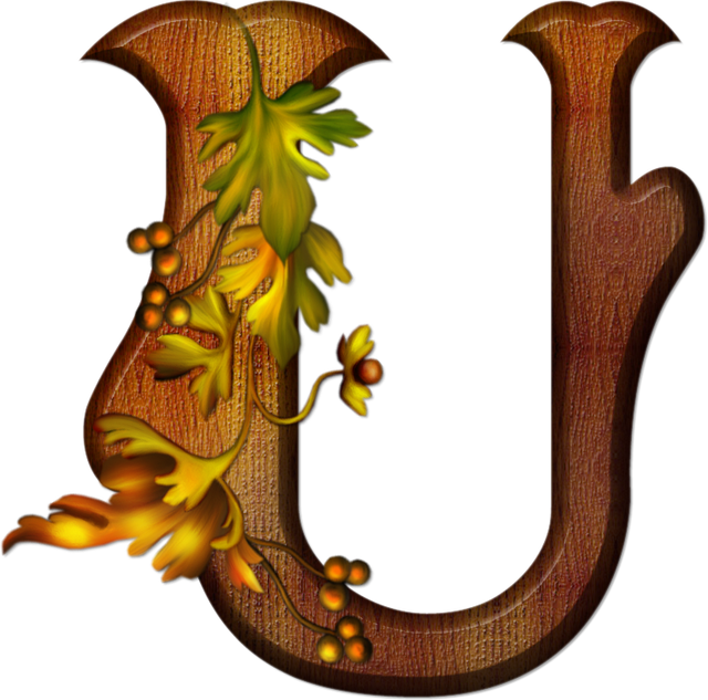 U 541765