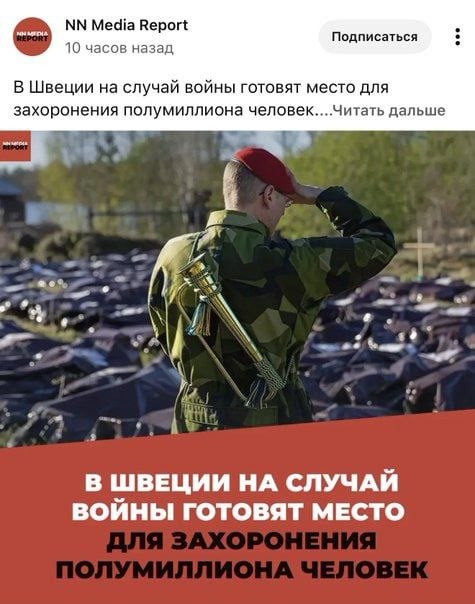 https://i.ibb.co/tMnRTdBG/IMG-3501.jpg