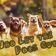 Who-Let-the-Dogs-Out