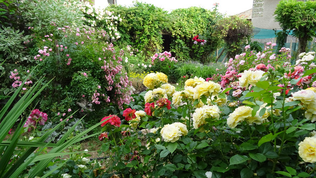 DSC01508