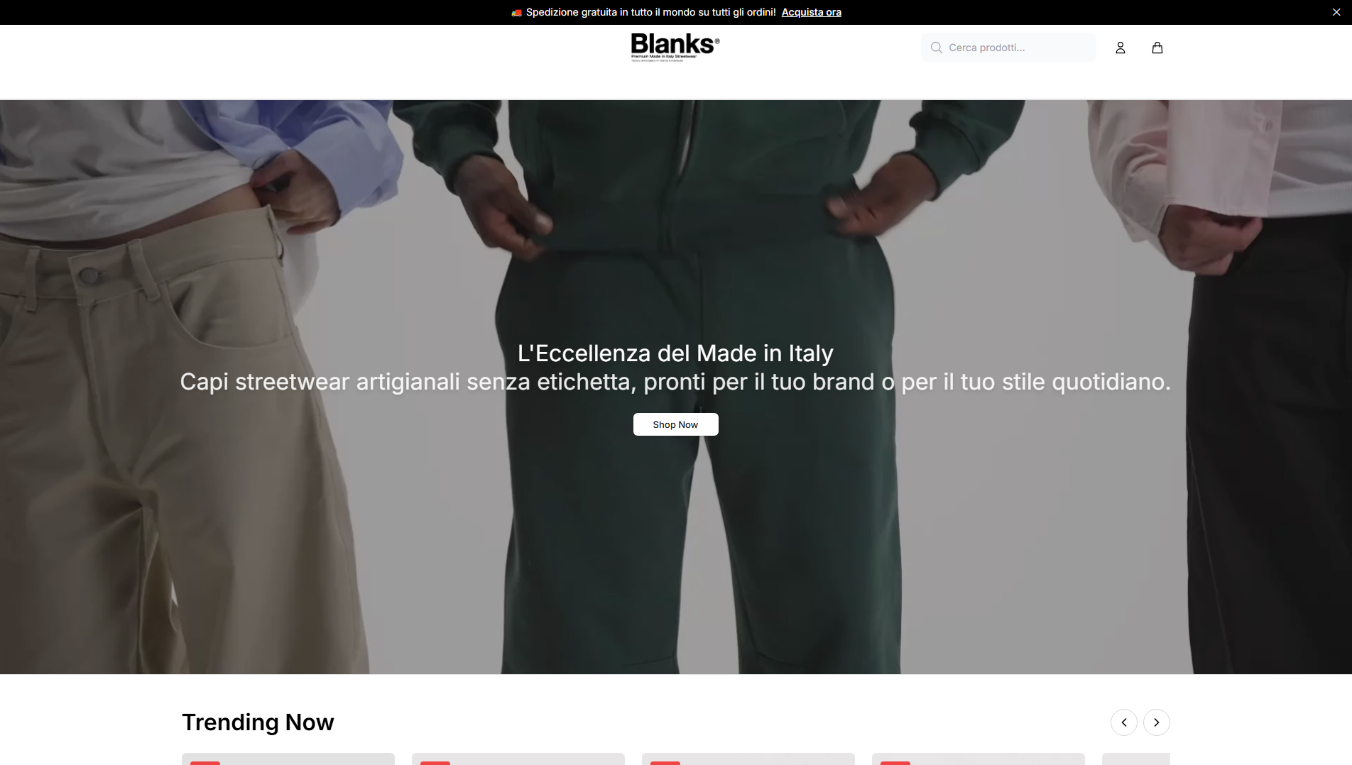 Stored capture of blanksfashionco.shop