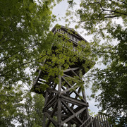 IMG 2358